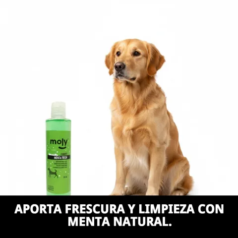 Détail du flacon du shampoing Menthe Fresh pour chiens