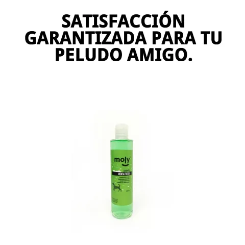Flacon du shampoing Menthe Fresh sur fond blanc