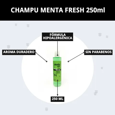 Chien détendu et propre après le bain avec le shampoing Menthe Fresh