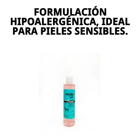Shampoing Moly pour chiots utilisé lors d'un bain canin