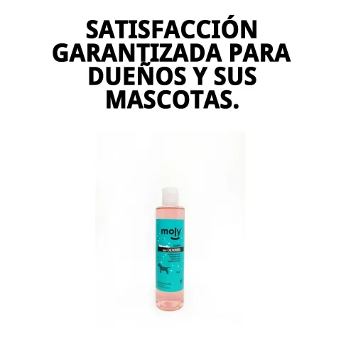 Flacon de shampoing Moly avec accessoires de toilettage pour chiens