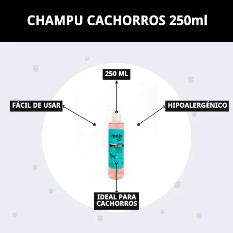Shampoing pour chiots Moly sur fond blanc avec gouttes d'eau