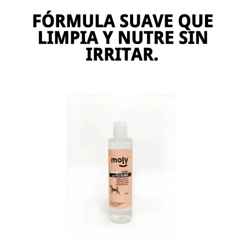 Détail du pelage blanc brillant après usage du shampoing Moly