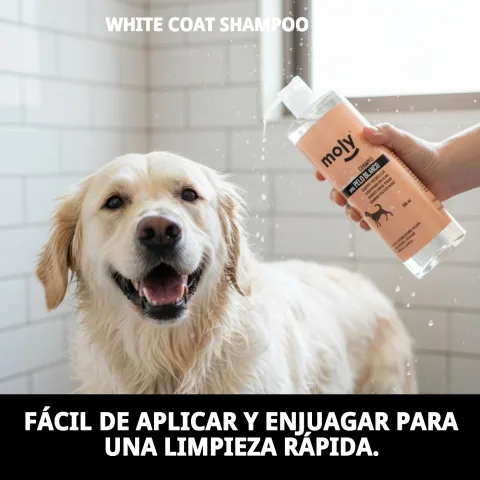 Chat au pelage clair propre et soigné avec shampoing Moly