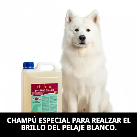 Détail de l'emballage et étiquette du Shampoing Pelage Blanc Moly 5 L