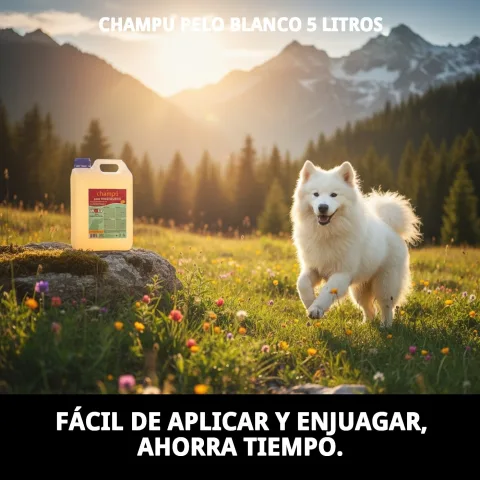 Chien au pelage blanc brillant après utilisation du Shampoing Pelage Blanc Moly