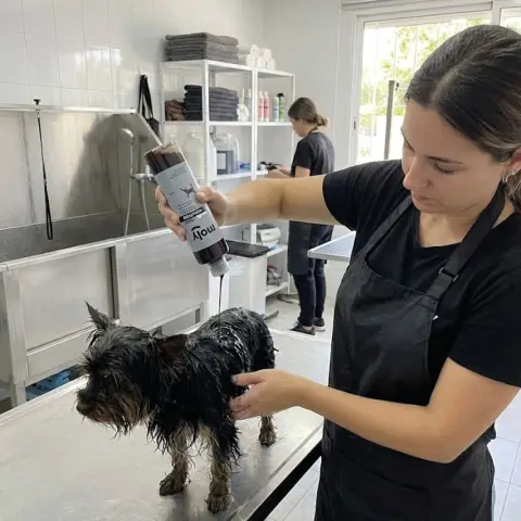 Shampoing intensificateur de couleur pour pelage foncé de chien
