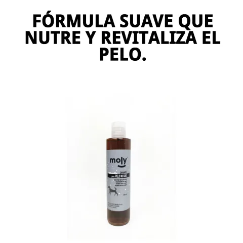 Chien au pelage noir brillant après utilisation du shampoing Moly