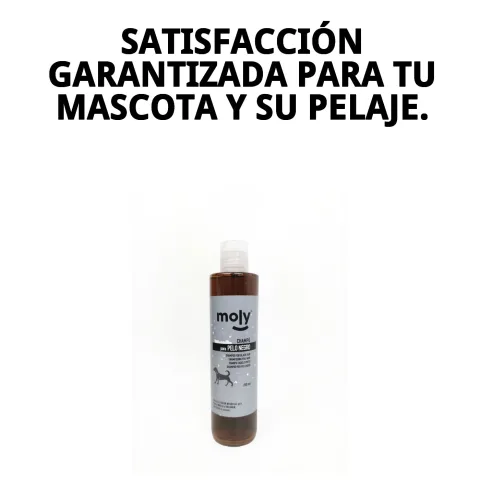 Détail du pelage foncé brillant après lavage avec shampoing