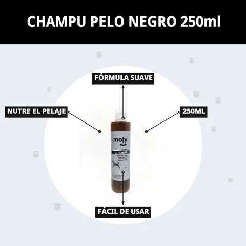 Shampoing Pelage Noir Moly pour entretien domestique du pelage