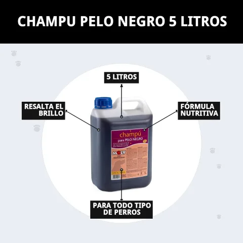 Grand format de shampoing pour chiens au pelage foncé