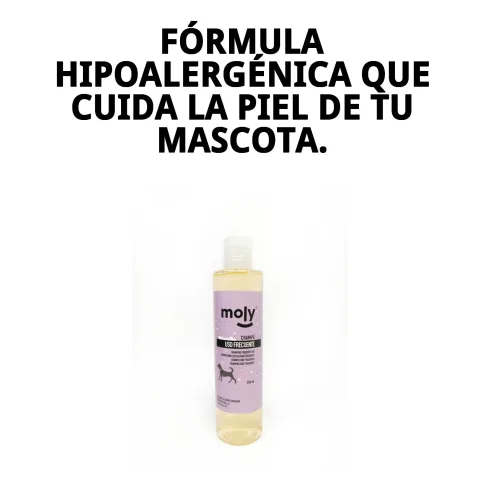Chien au pelage brillant après utilisation du shampoing Moly