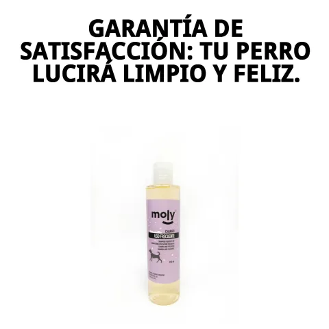 Flacon de shampoing Moly sur fond blanc