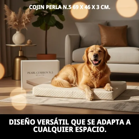 Chien se reposant confortablement sur le coussin Perla N.5