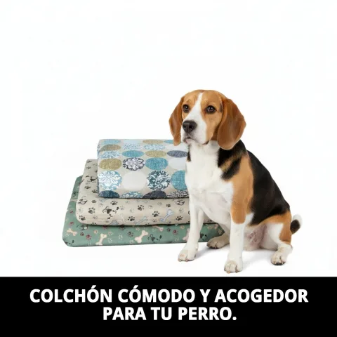 Housse amovible du matelas pour chiens petits
