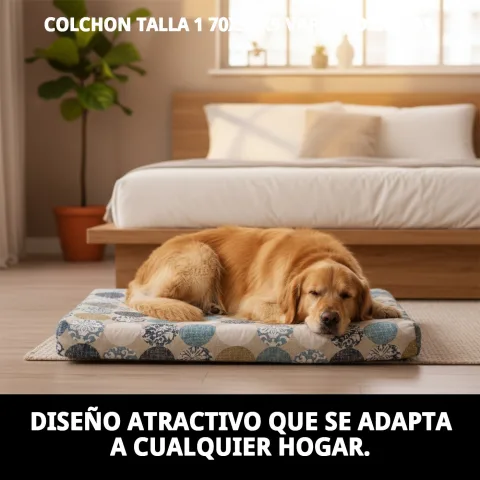 Chien reposant confortablement sur matelas taille 1