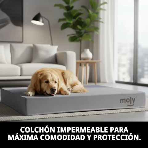 Vue latérale du matelas waterproof pour animaux