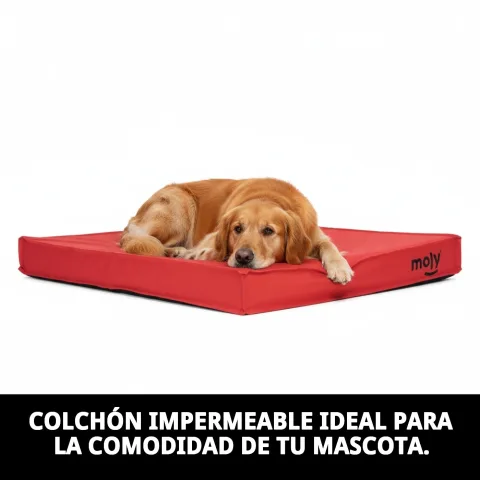 Surface imperméable du matelas pour un nettoyage facile