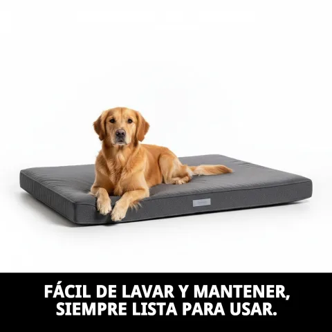 Chien reposant confortablement sur le matelas