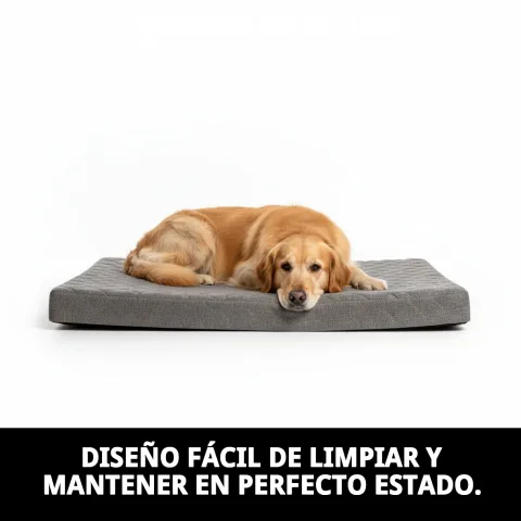Matelas léger pour usage extérieur avec chien au repos