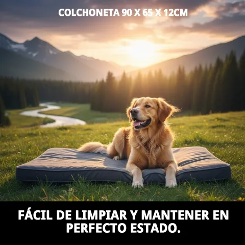 Chien reposant confortablement sur un matelas Compa Pattes
