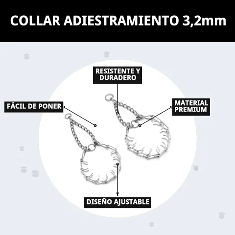 Présentation du collier d'éducation 3,2 mm chez Compa Pattes