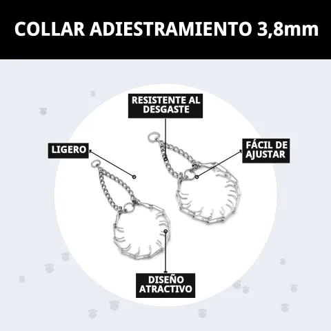 Collier d'éducation avec design ergonomique pour chiens