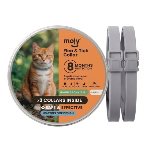 Détail du collier antiparasitaire MOLY avec design ajustable pour chats