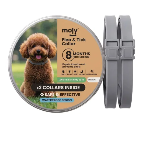 Détail de la fermeture ajustable du collier antiparasitaire Moly