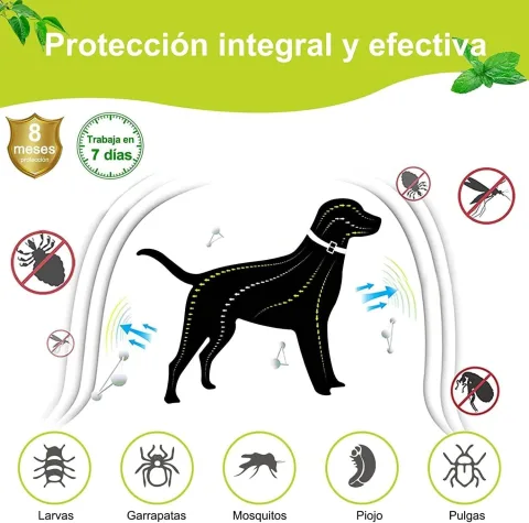 Présentation du pack de 2 colliers antiparasitaires Moly