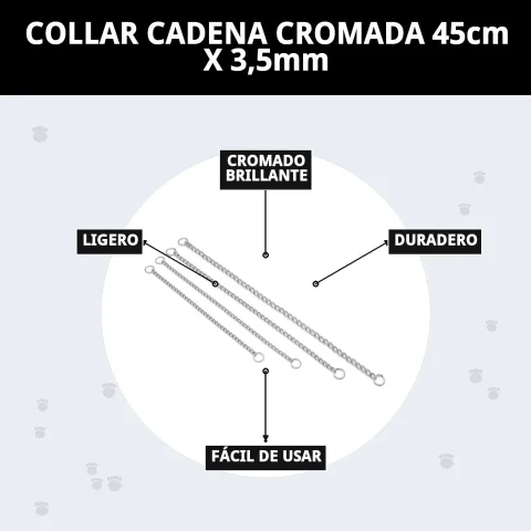 Utilisation du collier chaîne chromée lors d'une promenade avec chien moyen