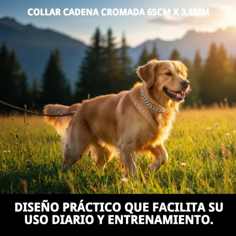 Utilisation du collier chaine lors d'une promenade avec chien