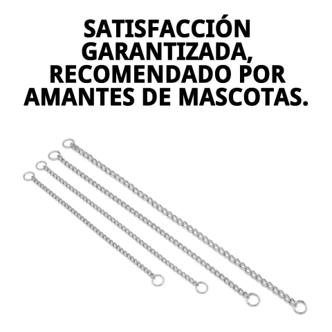 Collier chaine chromée et accessoires associés chez Compa Pattes