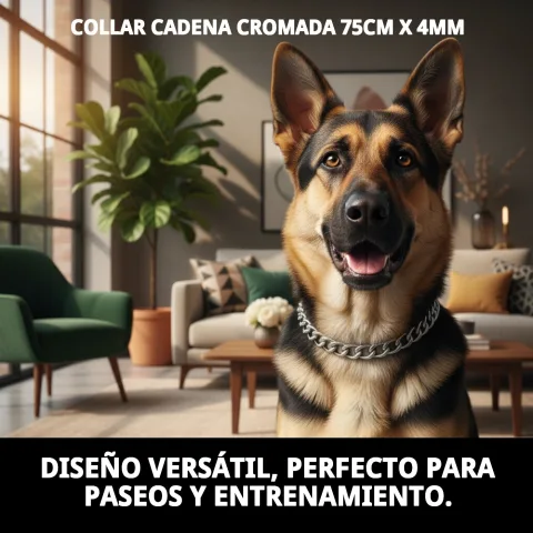 Vue latérale du collier chaîne chromée pour chiens