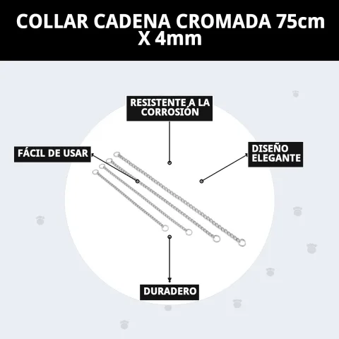 Présentation du collier chaîne chromée dans son emballage Compa Pattes