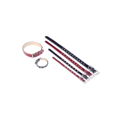 Collier cuir Forniture ajusté sur chien moyen