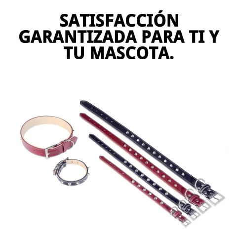 Collier cuir Forniture en extérieur