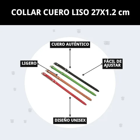Présentation du collier cuir lisse dans le catalogue Compa Pattes