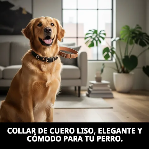 Collier cuir lisse porté par un petit chien