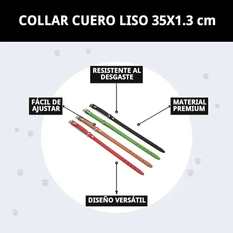 Présentation du collier cuir lisse pour chiens chez Compa Pattes