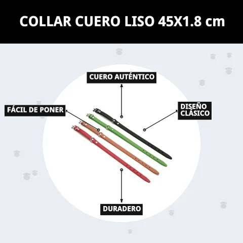 Collier cuir lisse pour chiens avec finition élégante