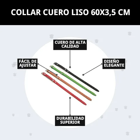 Détail de la texture et finition du cuir lisse du collier pour chiens