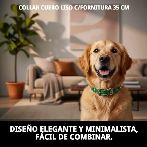 Fermeture et réglage du collier cuir lisse pour chiens