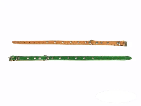 Collier cuir lisse 35 cm avec boucle pour chiens