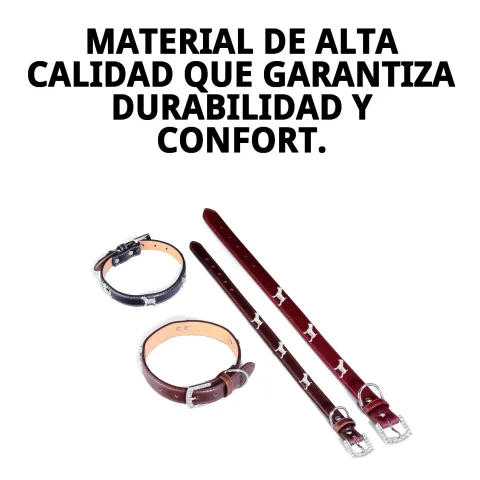 Vue latérale du collier cuir pour chien
