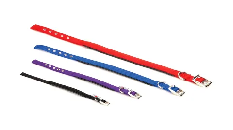 Collier Nylon Confort 25–30 cm x 1,5 cm | Ajustable et Résistant pour Chiens Petits – Moly