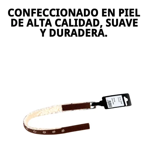 Collier luxury cuir nube ajusté sur un chien de petite taille