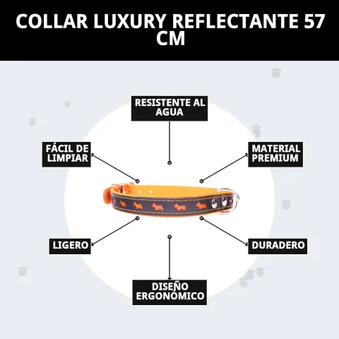 Collier Luxury Réfléchissant accompagné de laisses et harnais associés