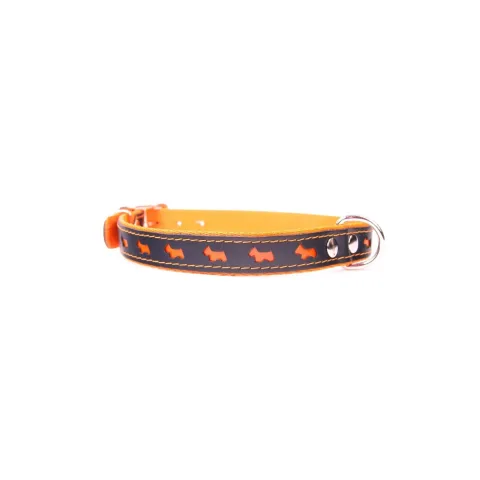 Collier Luxury Réfléchissant porté par un chien lors d'une promenade nocturne