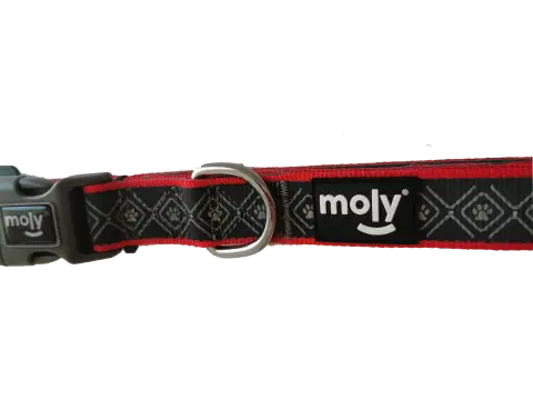 Détail du collier Moly néoprène Rainbow Reflect avec design réfléchissant et couleurs vives